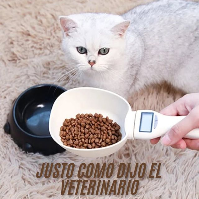 Cuchara Medidora Inteligente